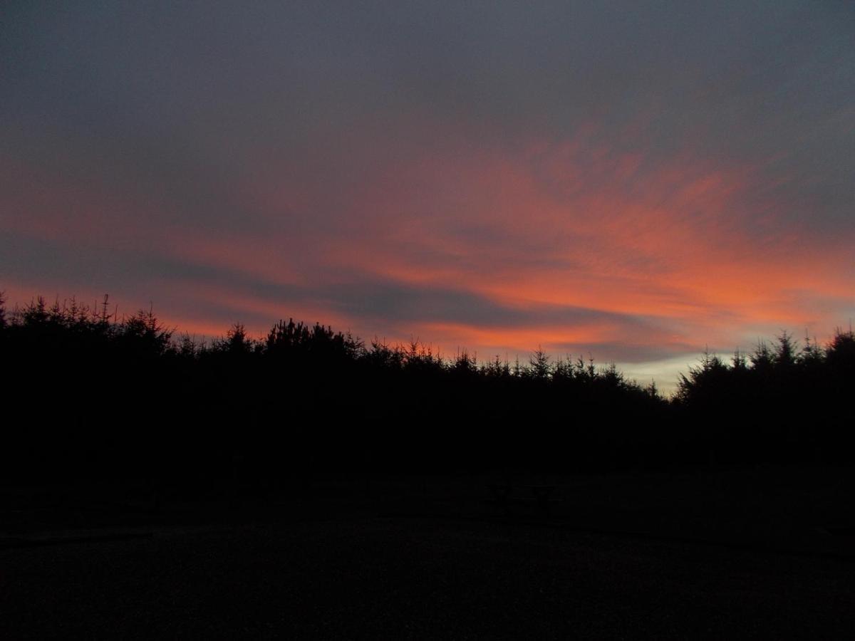 Forest View Fraserburgh Extérieur photo